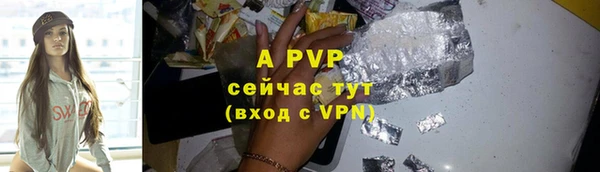 PSILOCYBIN Арсеньев