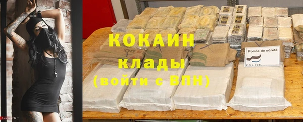 стафф Аркадак