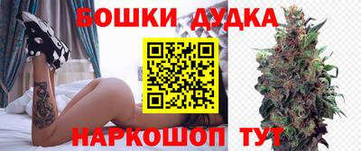 стаф Новодвинск
