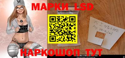 стаф Новодвинск