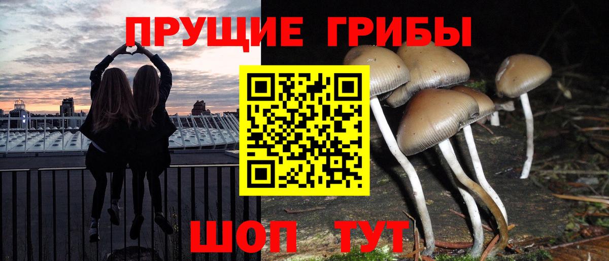 Псилоцибиновые грибы прущие грибы  Вход с VPN  Рыбинск 